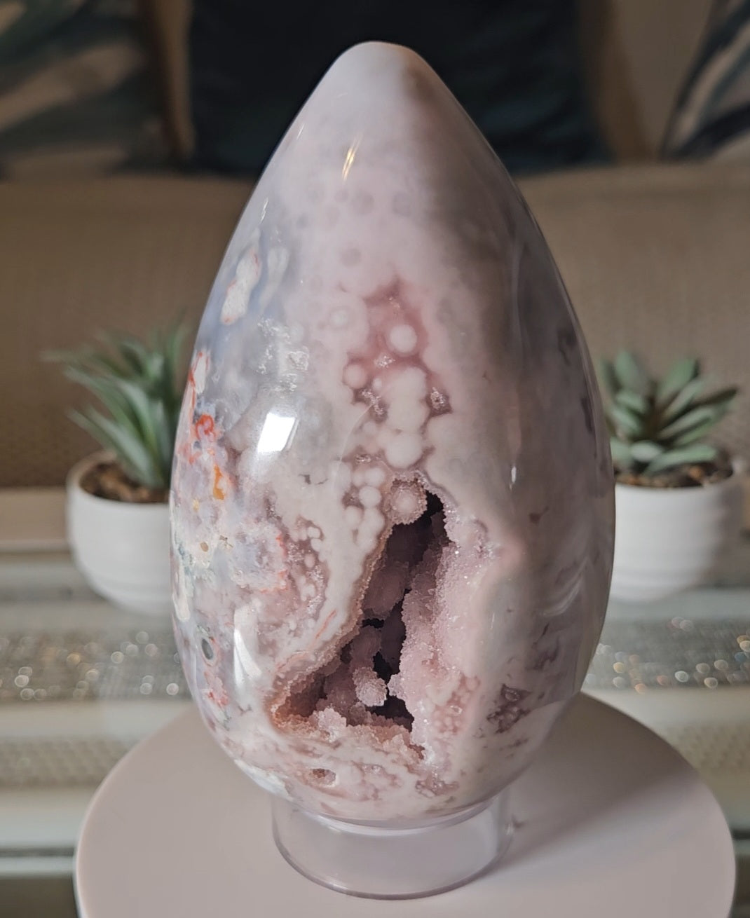 Premium FA Egg 6