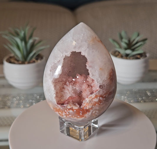 Premium FA Egg 5