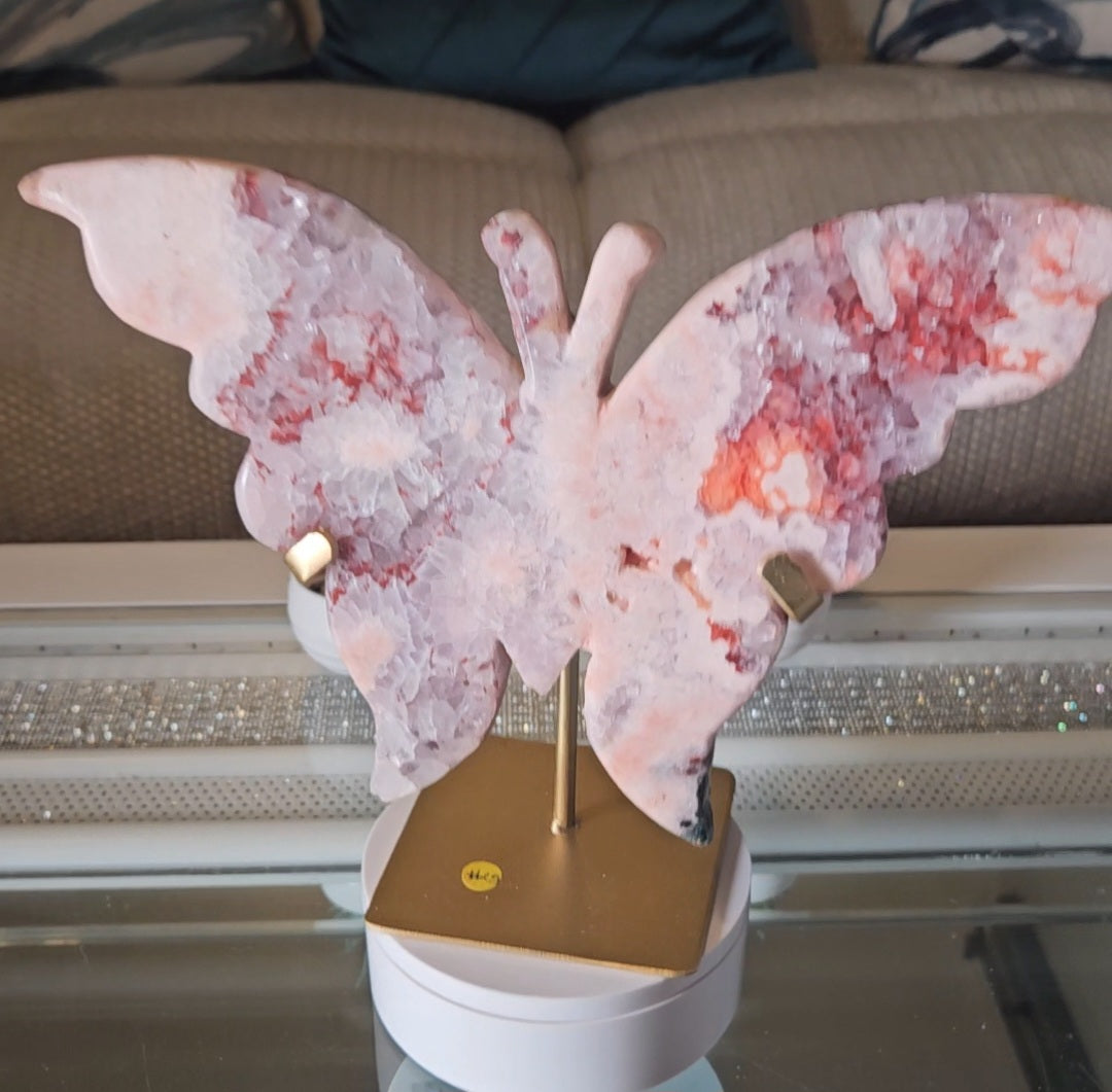 PA Butterfly 1