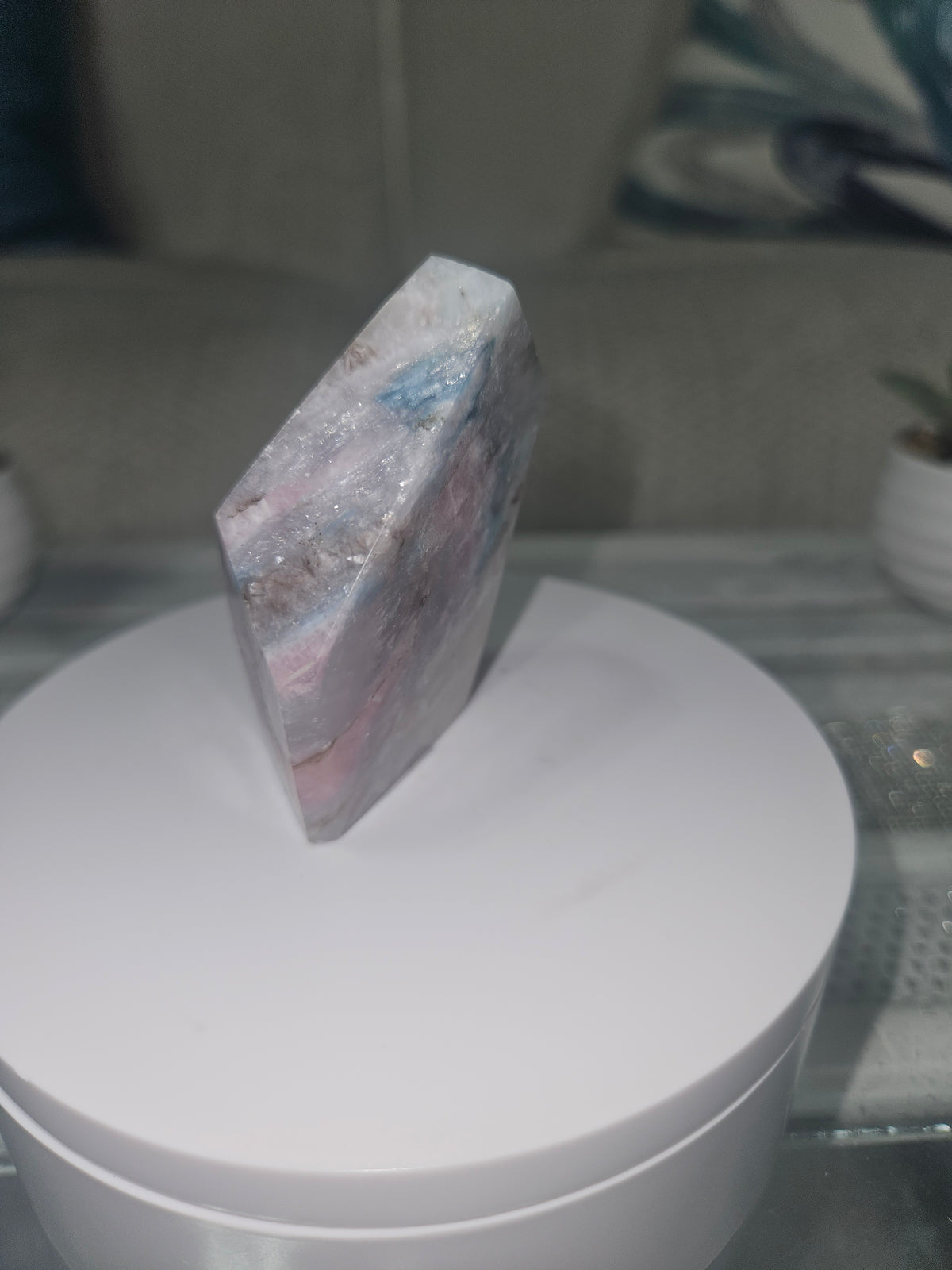 Natural Pink Tourmaline in Lepidolite Freeform | Polished Collector Display Stone