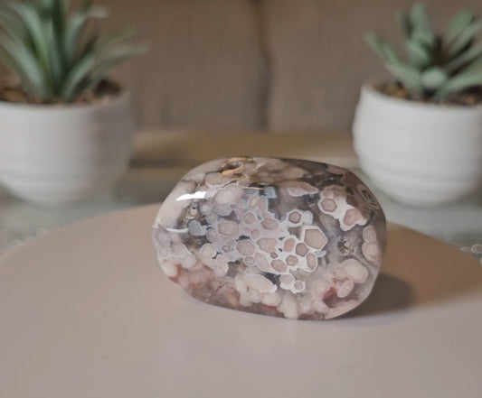 Premium FA Palmstone 3